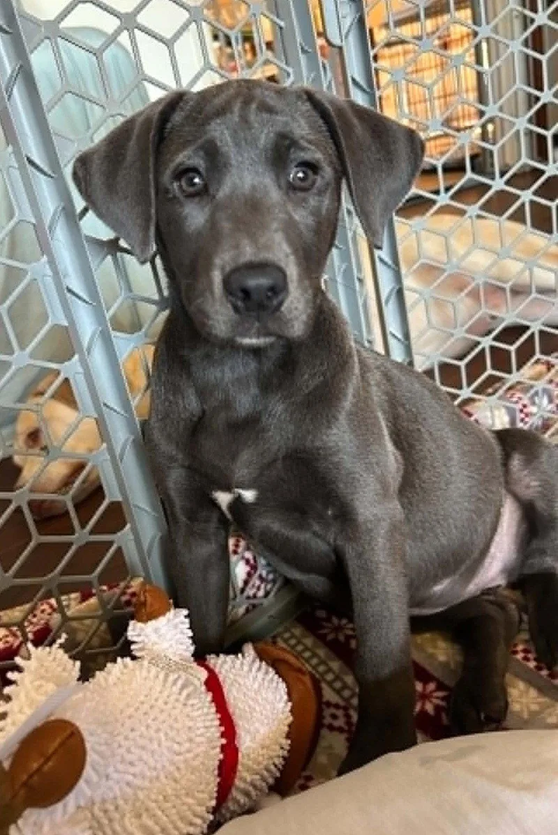 Ellie