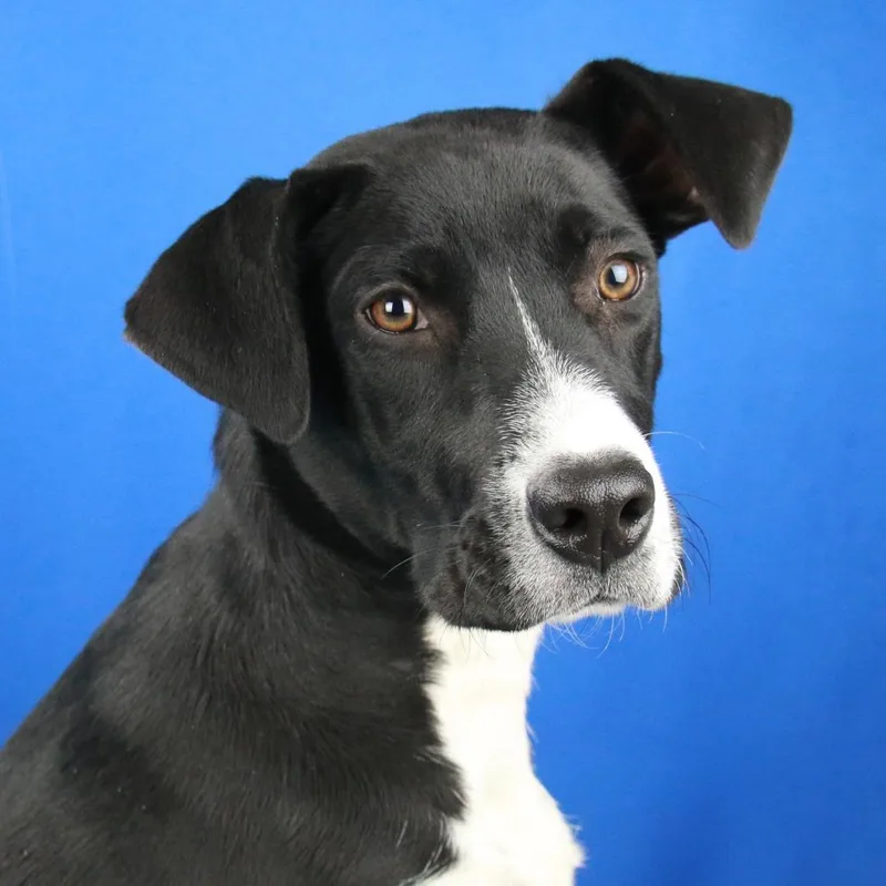 Shelly  U thumbnail 2