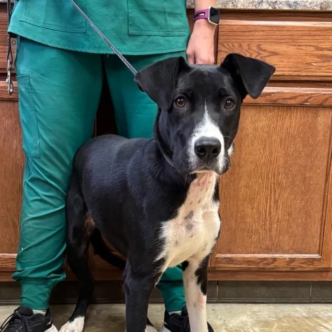 Shelly  U thumbnail 3