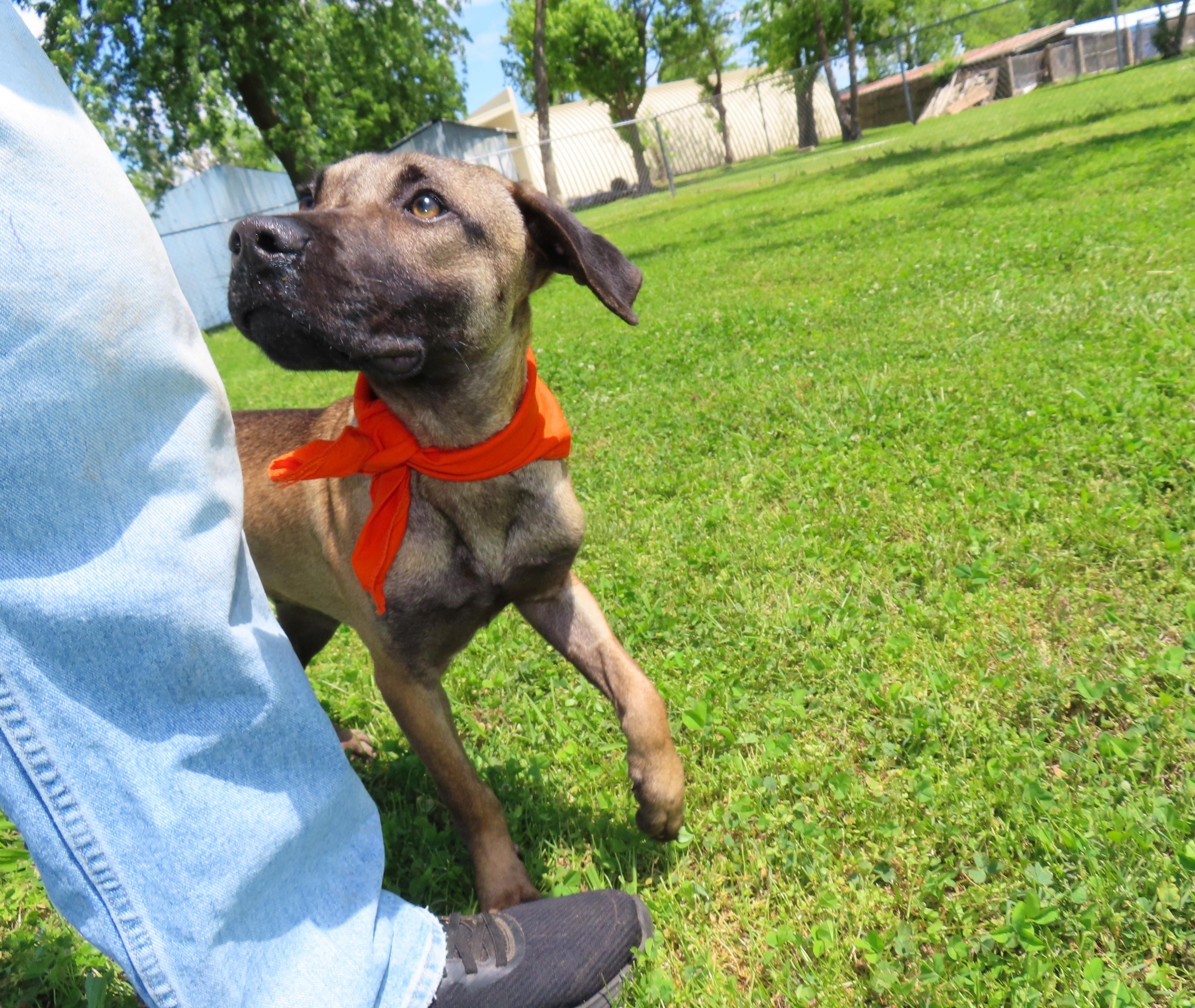 Percy  Cb thumbnail 3