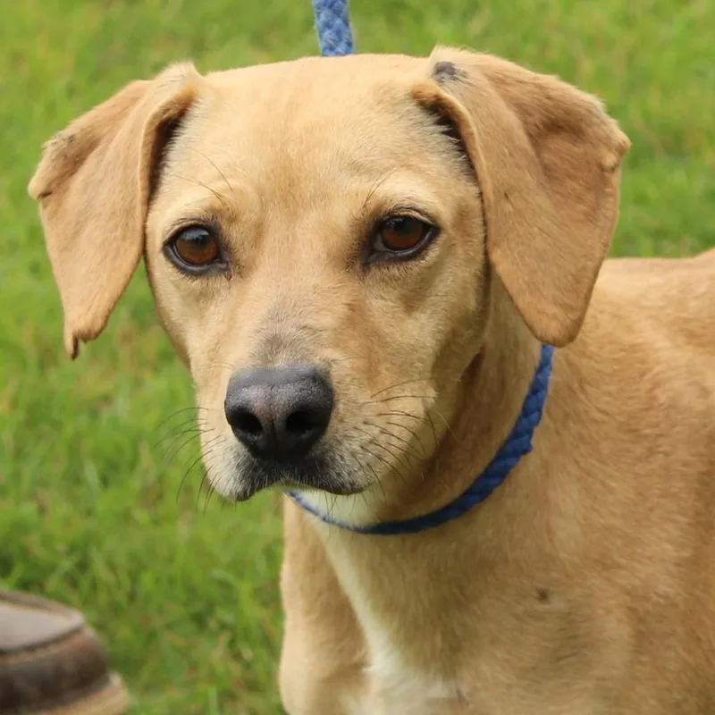 Helga thumbnail 2
