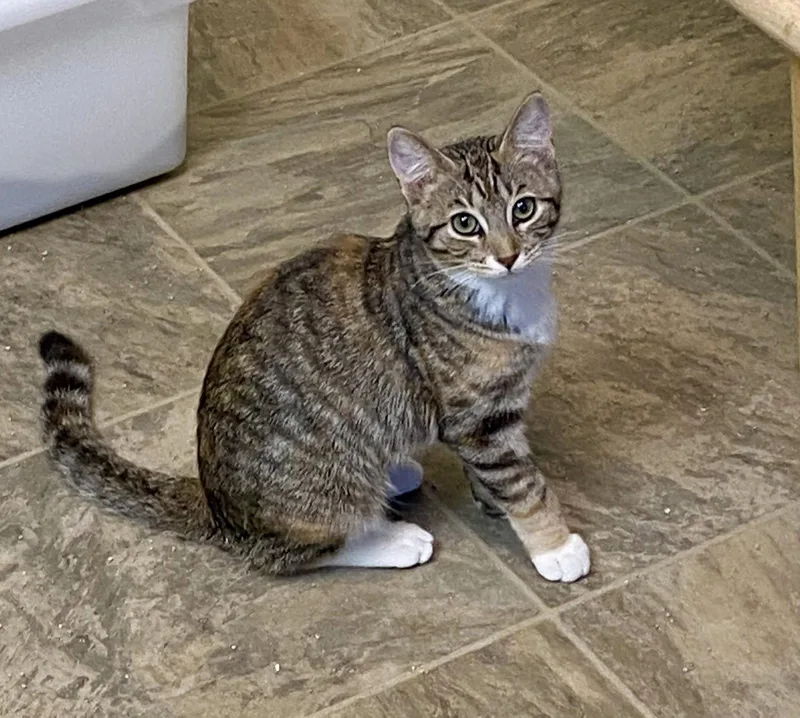 Tina