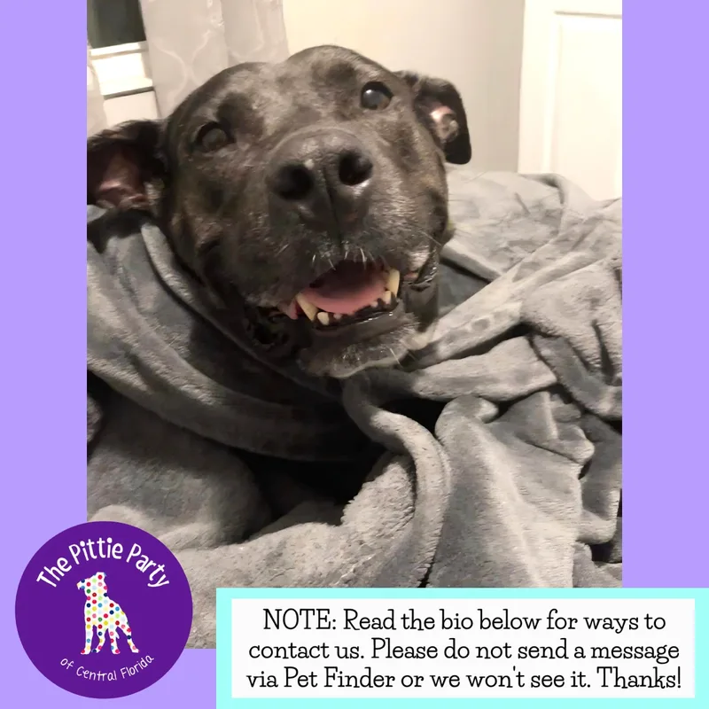 Bess thumbnail 4