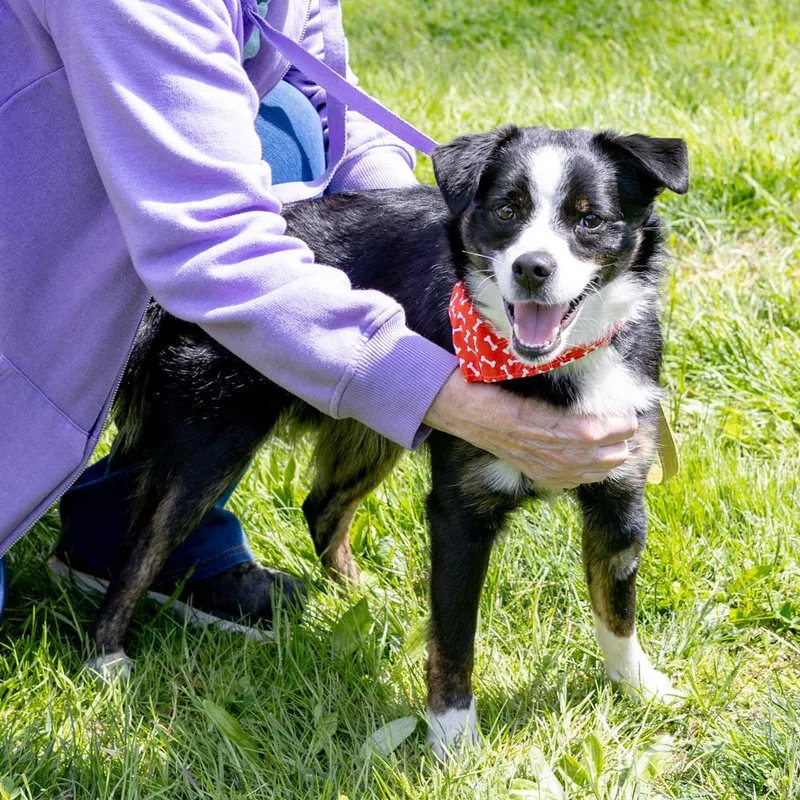 Graham  Male  thumbnail 3