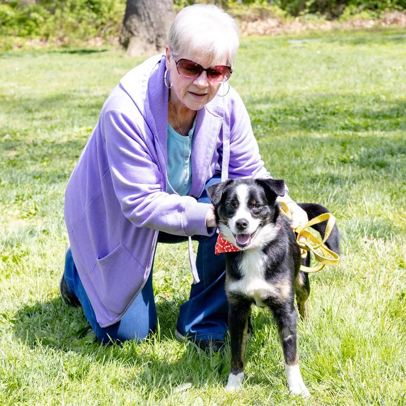 Graham  Male  thumbnail 6