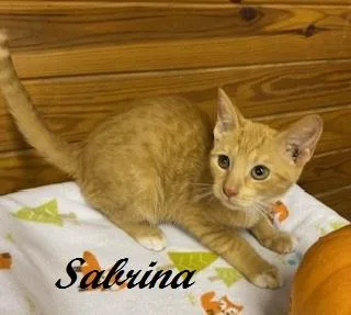 Sabrina Duncan