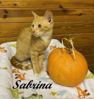 Sabrina Duncan thumbnail 2