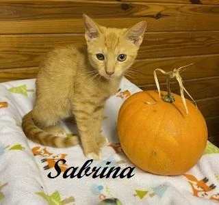 Sabrina Duncan thumbnail 3
