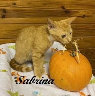 Sabrina Duncan thumbnail 4