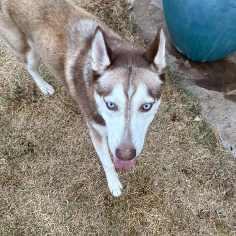 Sasha Courtesy thumbnail 2