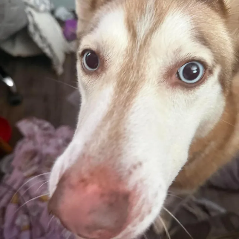 Sasha Courtesy thumbnail 3