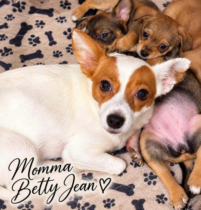 Betty Jean Ella thumbnail 3