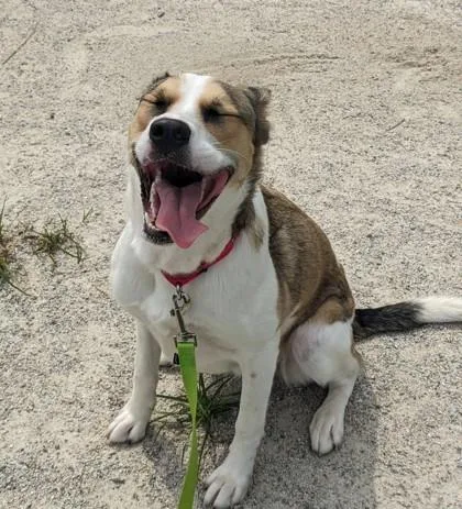 Molly