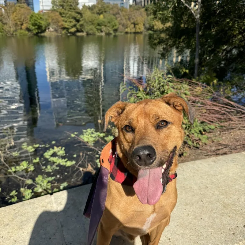 Sand Dune thumbnail 2