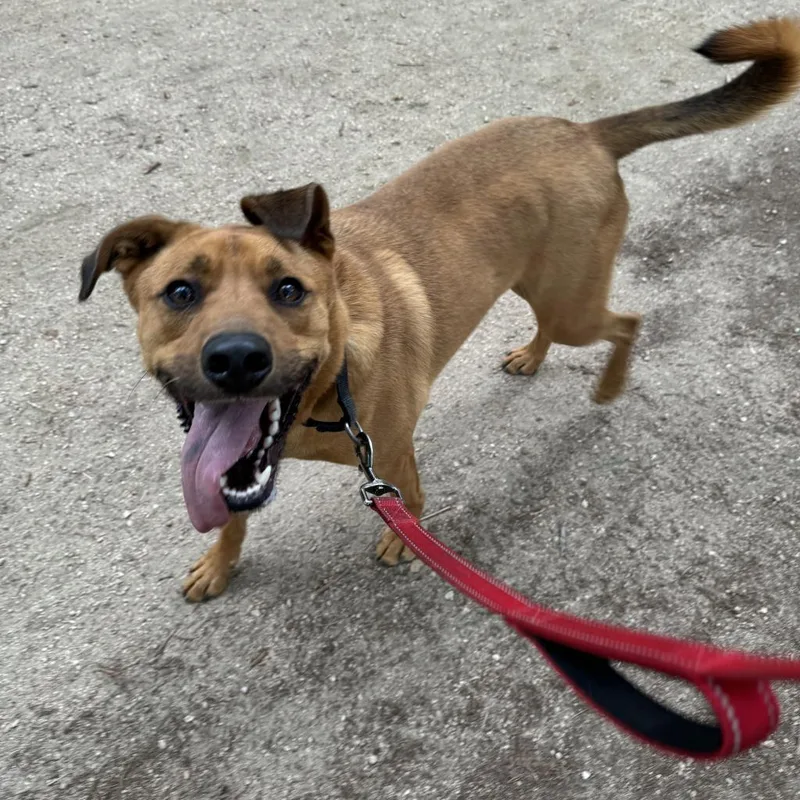 Sand Dune thumbnail 5