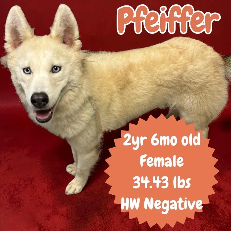 Pfeiffer thumbnail 2