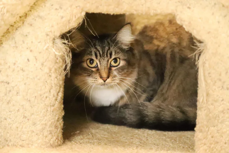 Mama And Thelma thumbnail 2