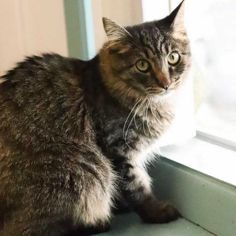 Mama And Thelma thumbnail 3