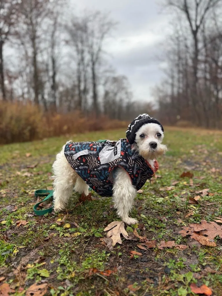 Marshmallow thumbnail 2