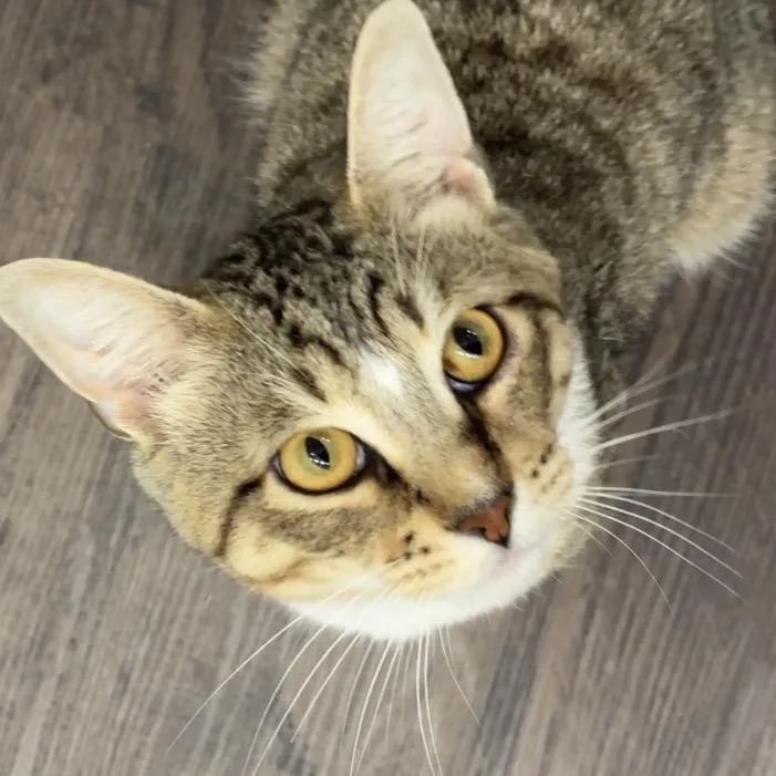 Sammy thumbnail 2