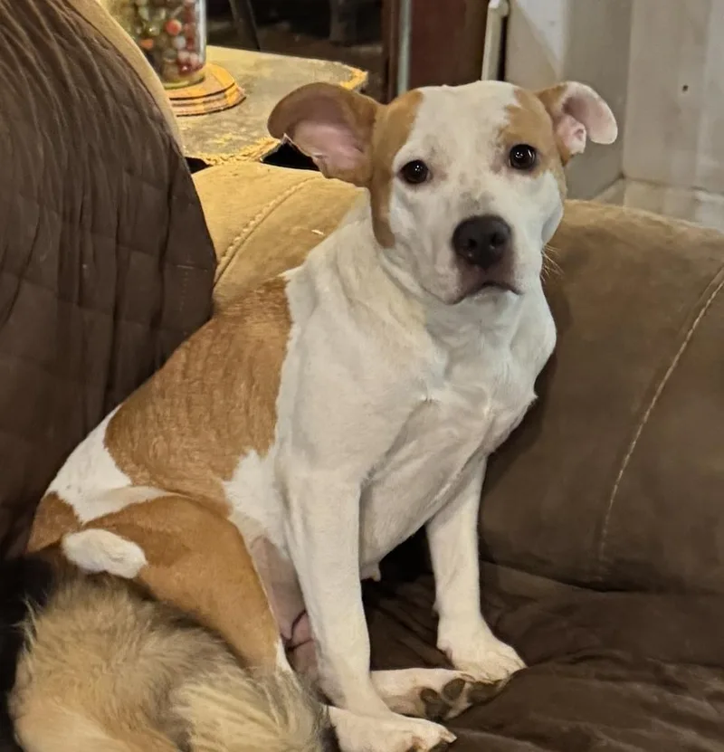 Delilah thumbnail 2