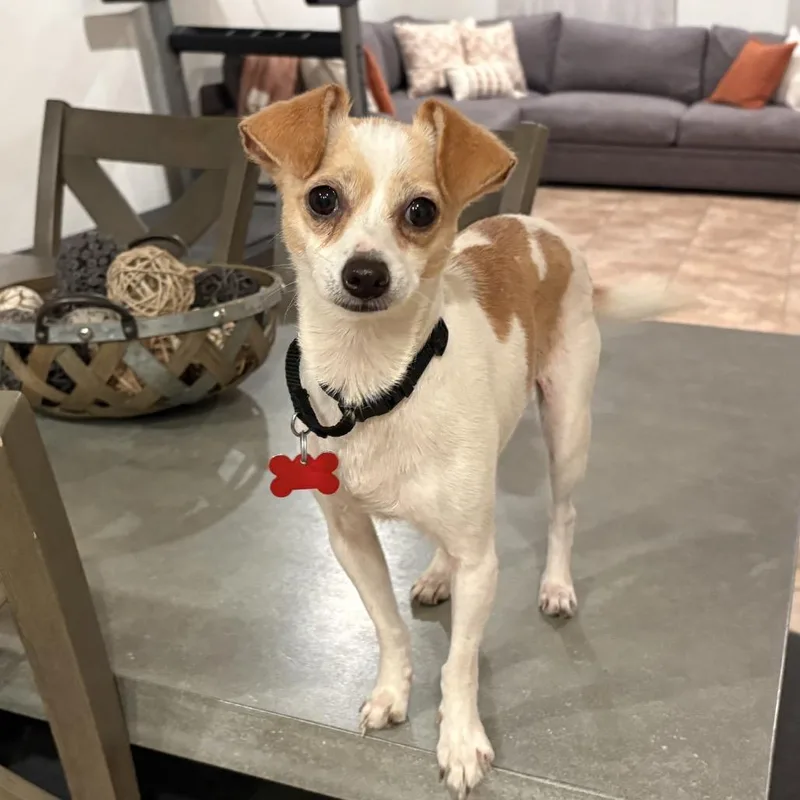 Garden thumbnail 3