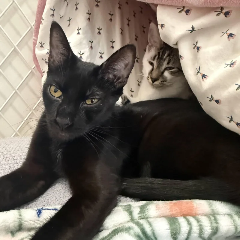 Birdie & Zach thumbnail 2