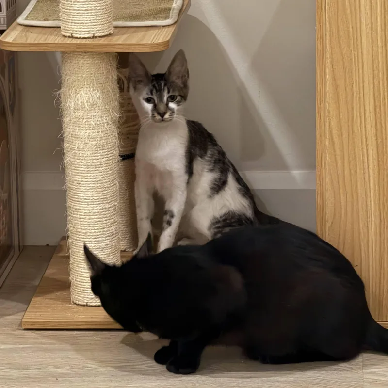 Birdie & Zach thumbnail 3