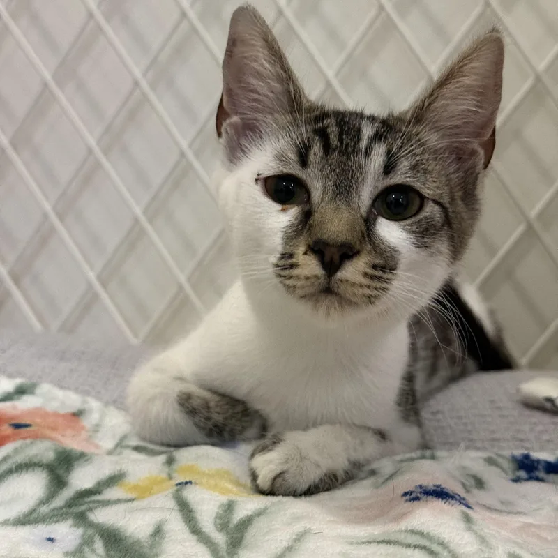 Birdie & Zach thumbnail 4