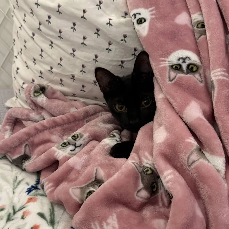 Birdie & Zach thumbnail 5