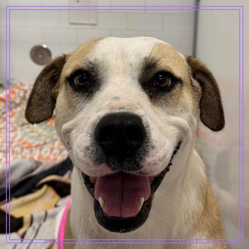 Peggy Lee thumbnail 2