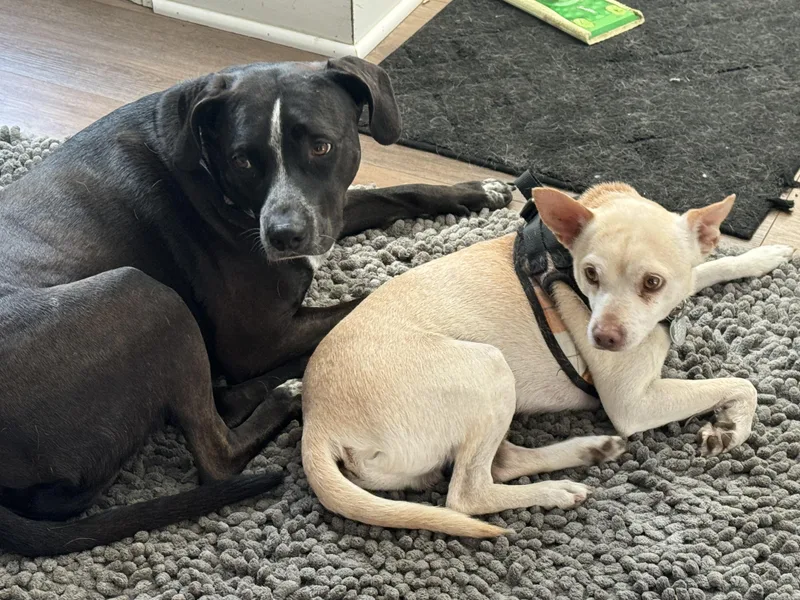 Little Andy thumbnail 2