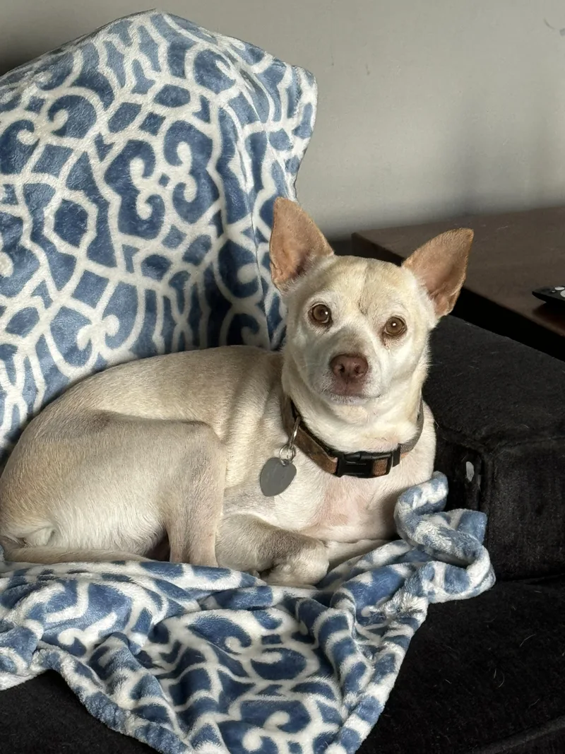 Little Andy thumbnail 6