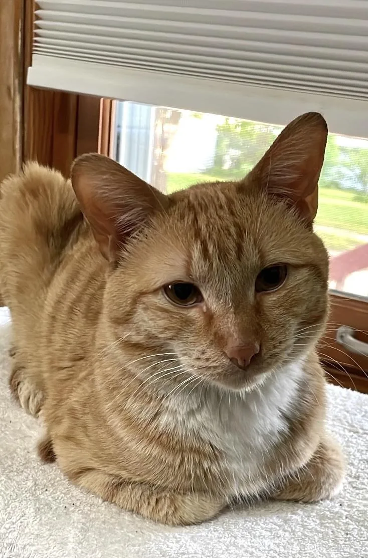 MrBojangles thumbnail 5