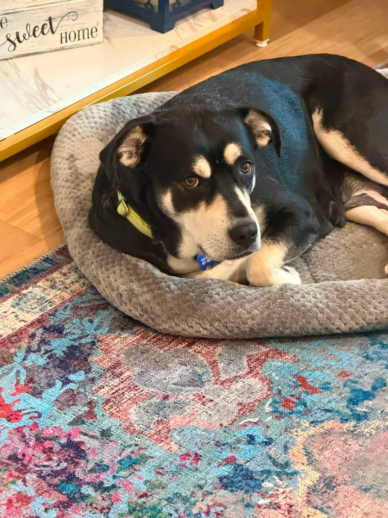 Bonnie