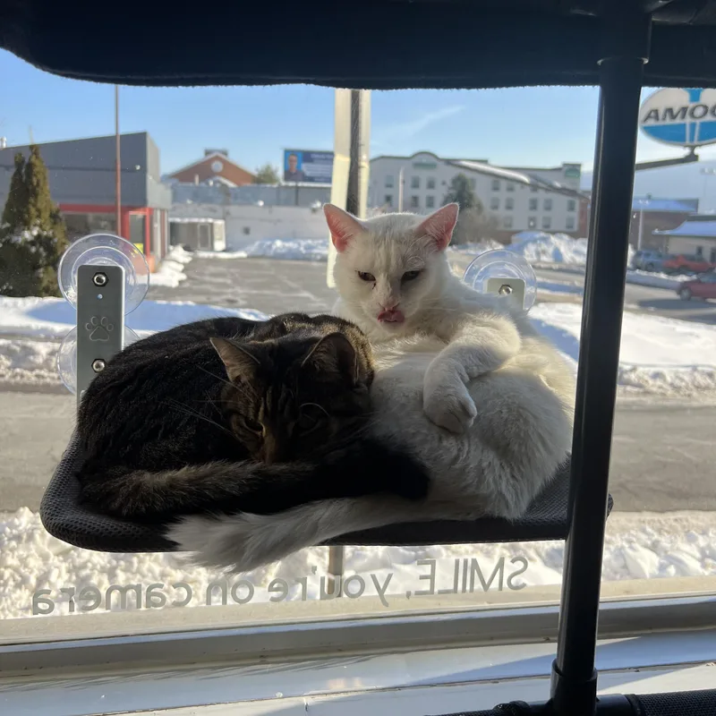 Ranch And Rose thumbnail 2