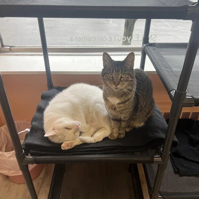 Ranch And Rose thumbnail 3