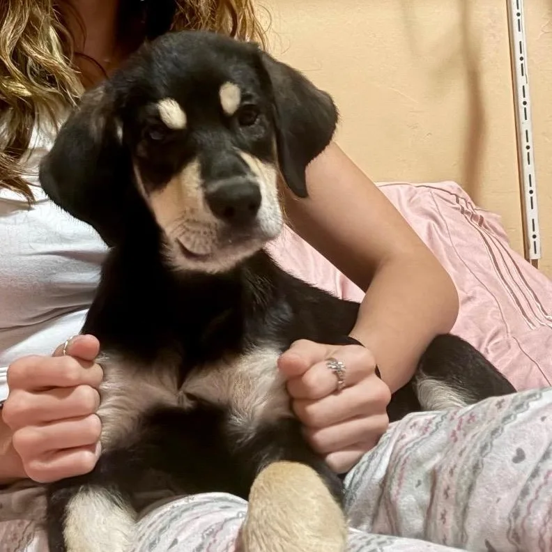Marley thumbnail 3