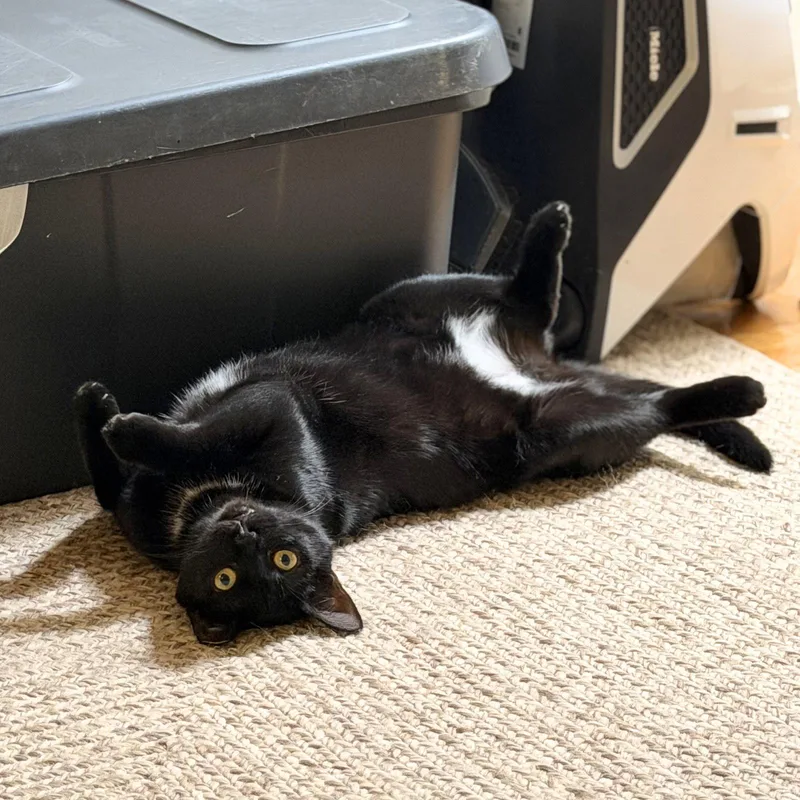 Emily's List thumbnail 2