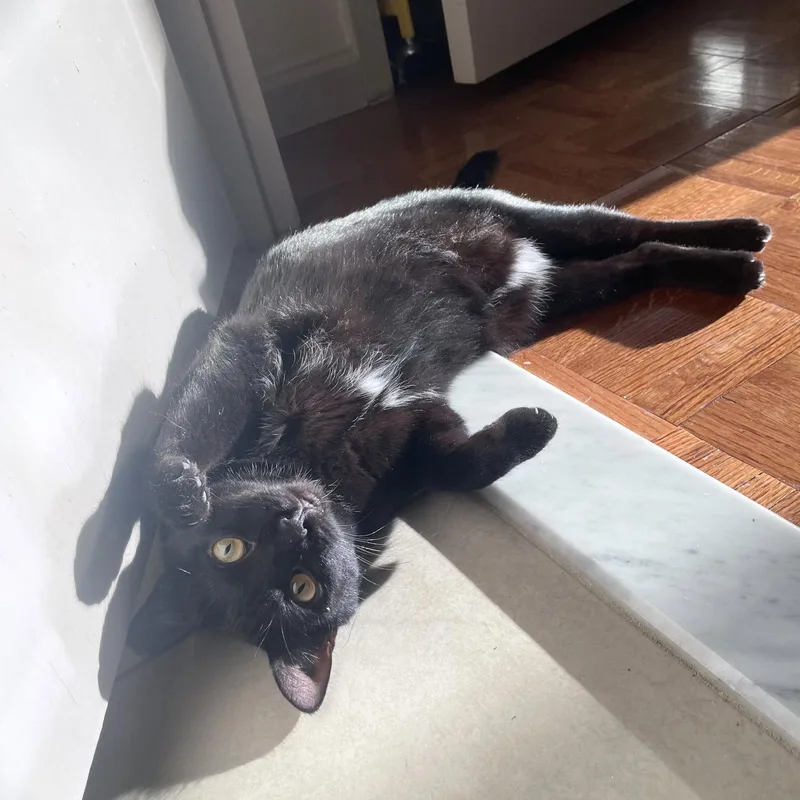 Emily's List thumbnail 3