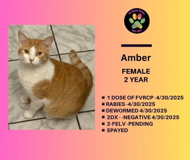 Amber