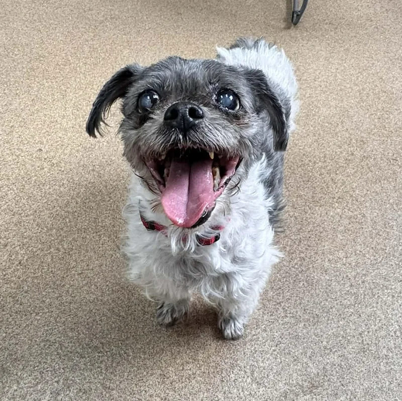 Mona Lisa thumbnail 2