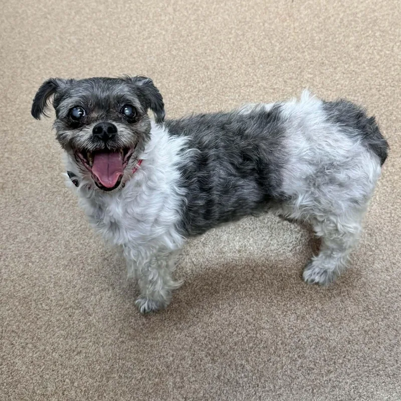 Mona Lisa thumbnail 3