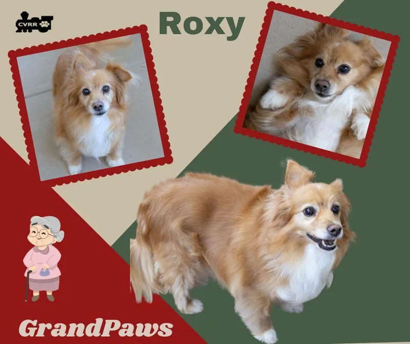 Roxy