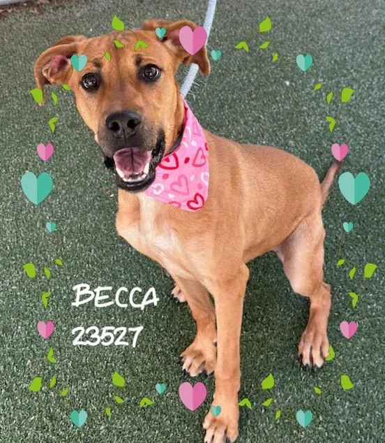 Becca thumbnail 2