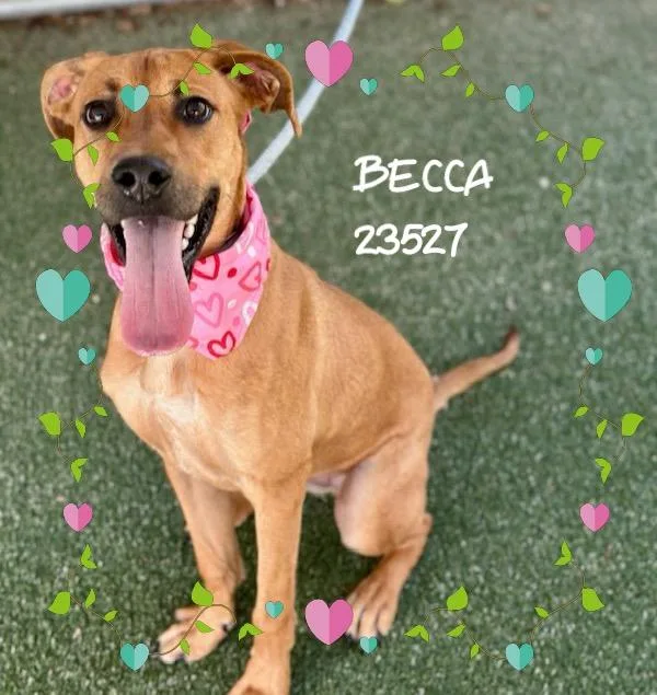 Becca thumbnail 4