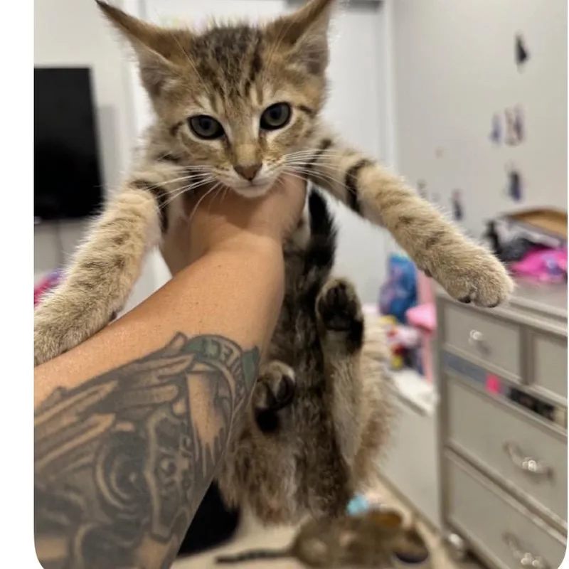 Bruce