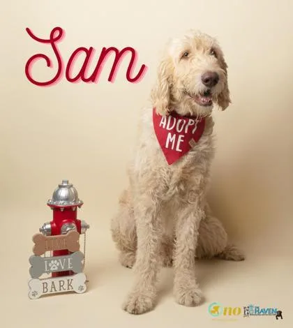 Sam