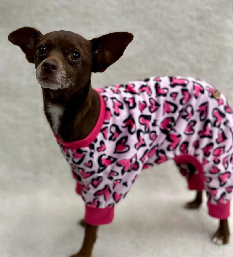 Churro thumbnail 3