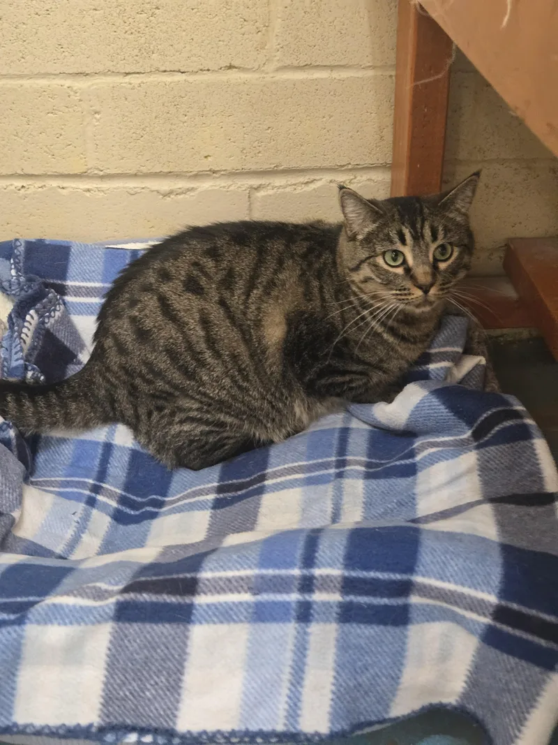 Margarita thumbnail 2